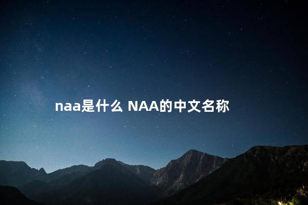 naa是什么 NAA的中文名称